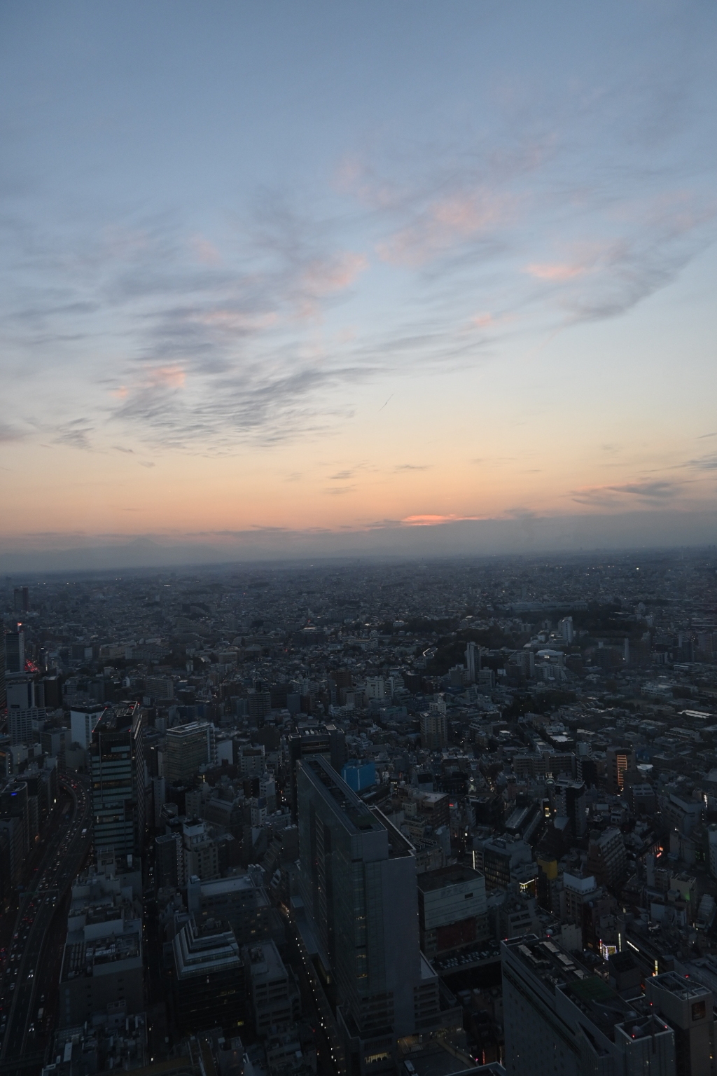 夕日と東京