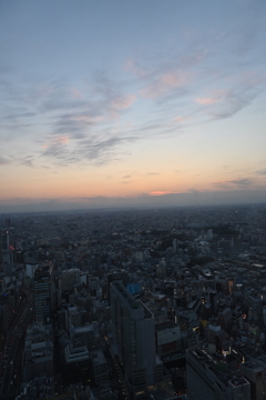 夕日と東京