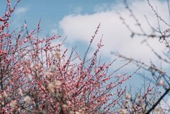 明けましておめでとうございますm(_ _)mM