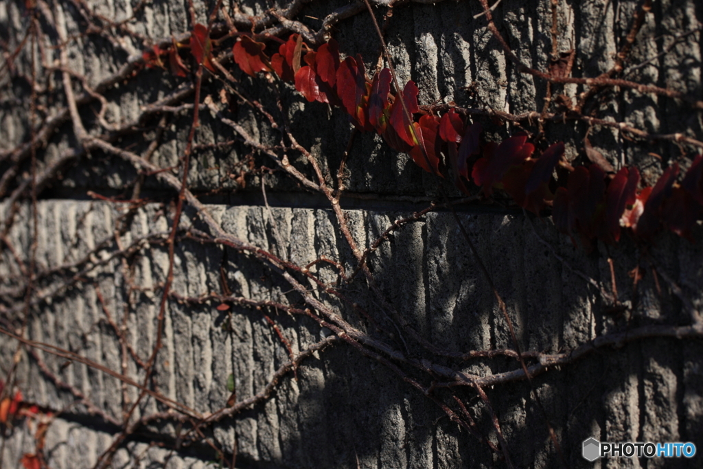 ドラマチックに(^o^;