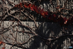 ドラマチックに(^o^;