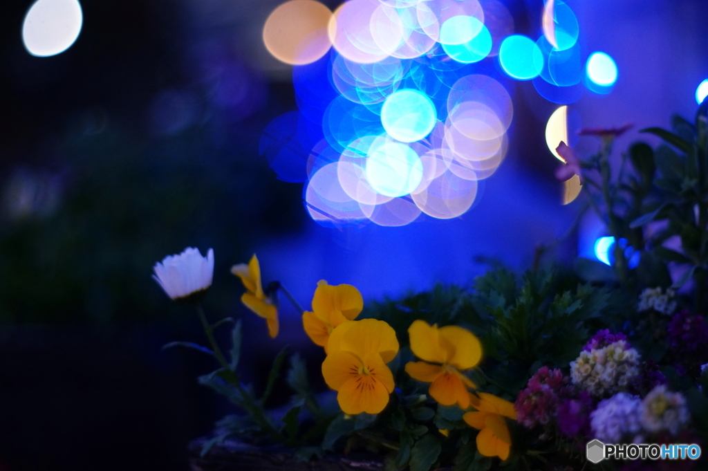 やさしさに包まれたならpart.3(=^・^=)