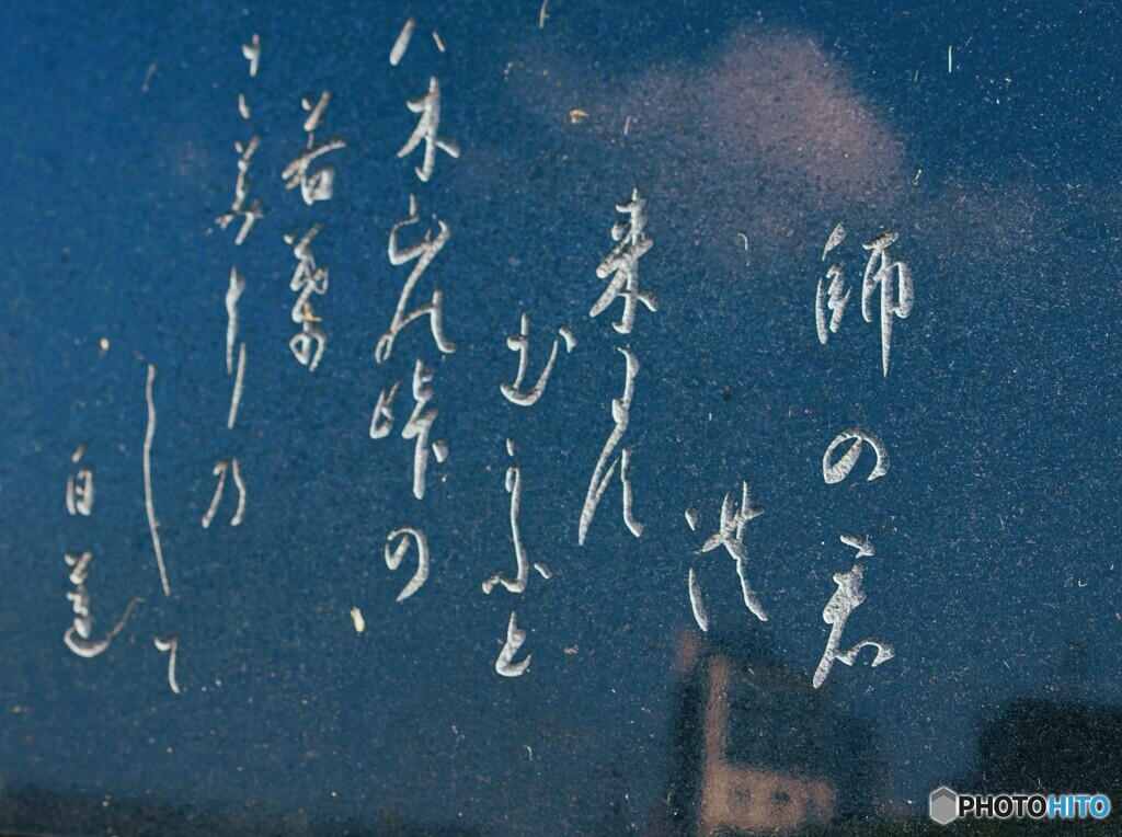 白蓮さんが詠まれましたm(_ _)m v