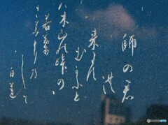 白蓮さんが詠まれましたm(_ _)m v