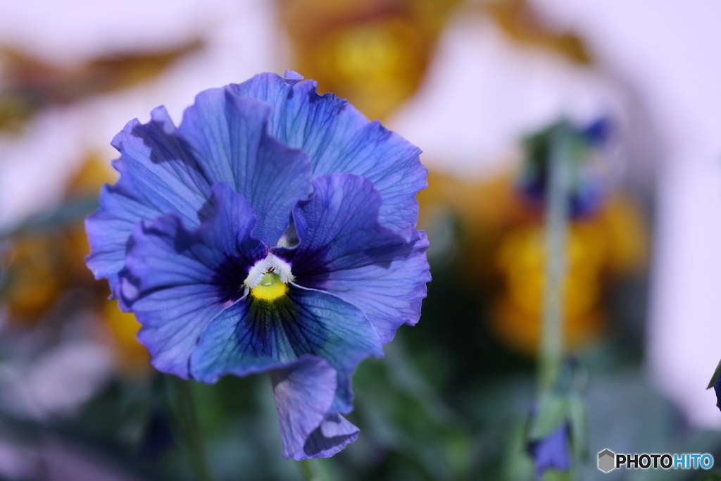 古い奴こそ　新しいものを(=^・^=)