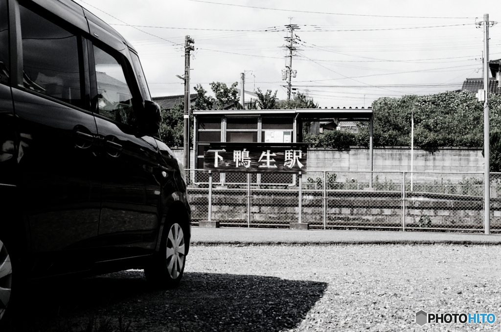 投稿再開しましたr(=^・^=)film