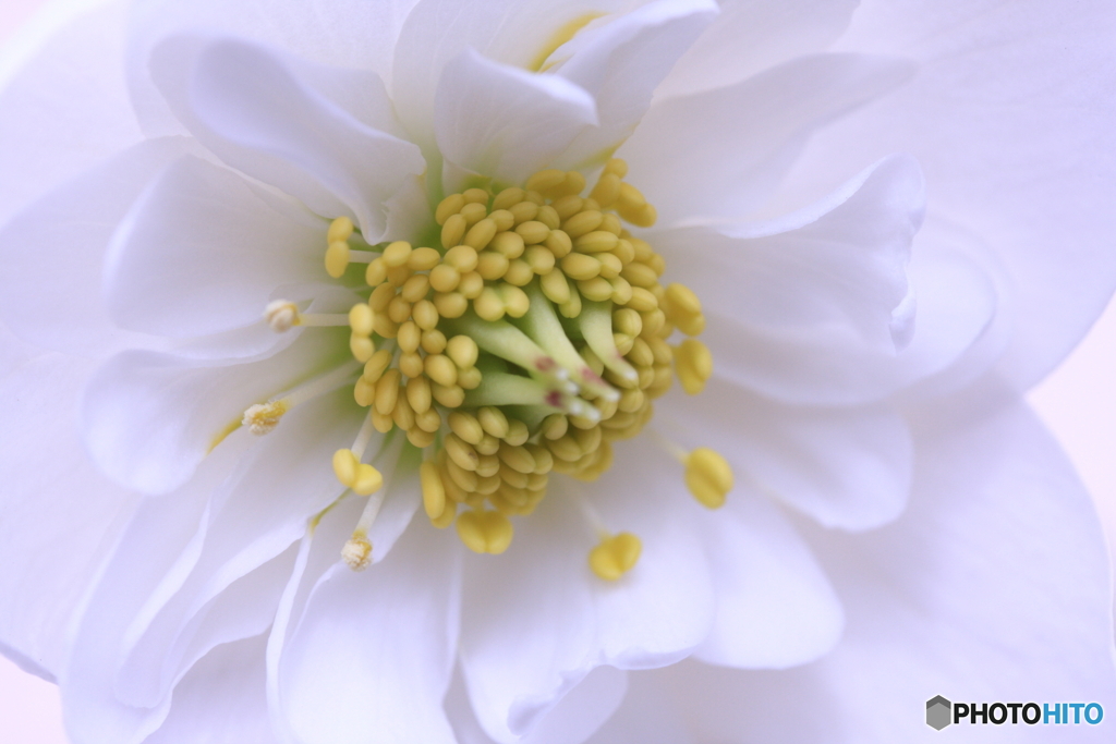 私ファンタジーでしょうか(^o^)