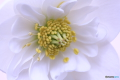 私ファンタジーでしょうか(^o^)