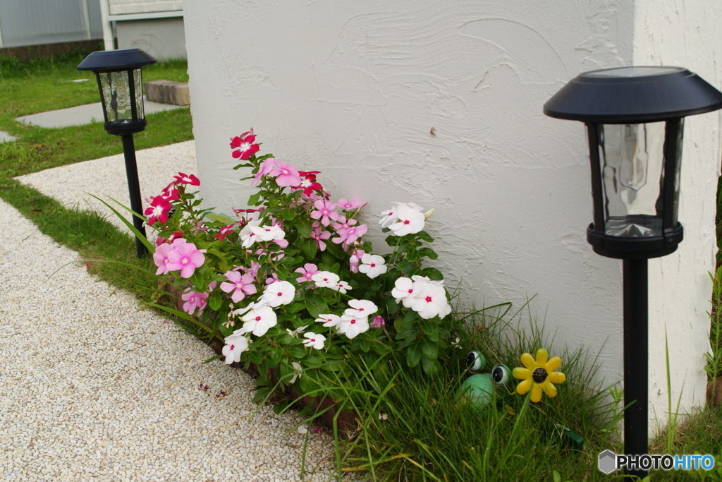 小ちゃな　ちっちゃな花壇(^o^)