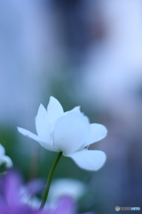 いや～すっかり日が長くなりました(^o^;