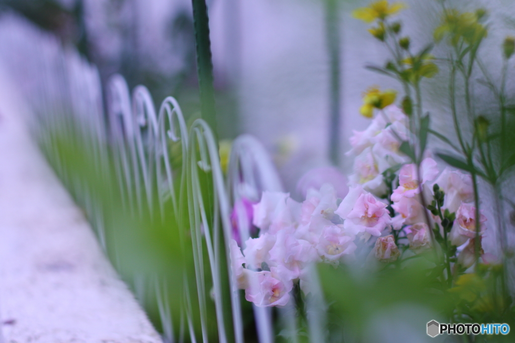 淡いトゥイニーに誘惑されました(_ _;)z