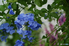 嵐の前に(^o^;m 嵐の前に(^o^;m