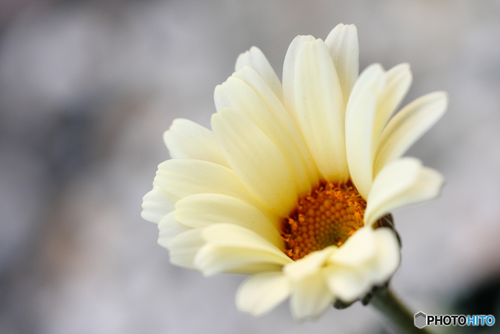 また誘惑されました(_ _;)z