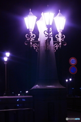 街の灯りが(=^・^=)