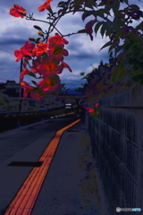 ミステリーゾーンo((⊙﹏⊙))o.f