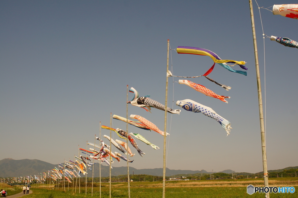 ①黄変レンズbefore o((⊙﹏⊙))o.