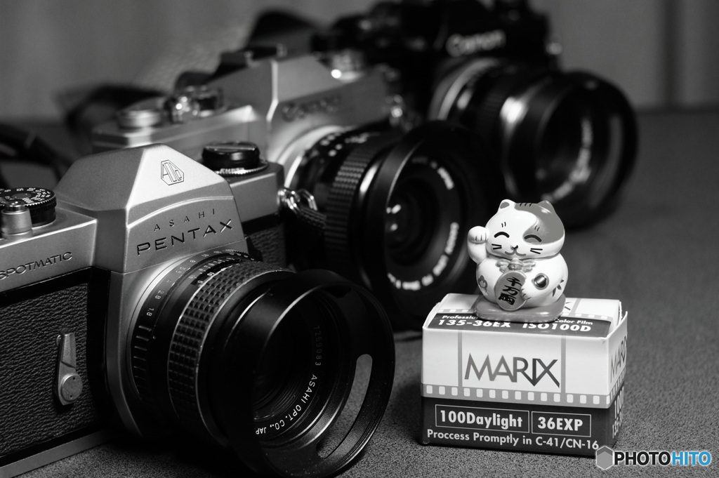 スタンバイ(=^・^=)