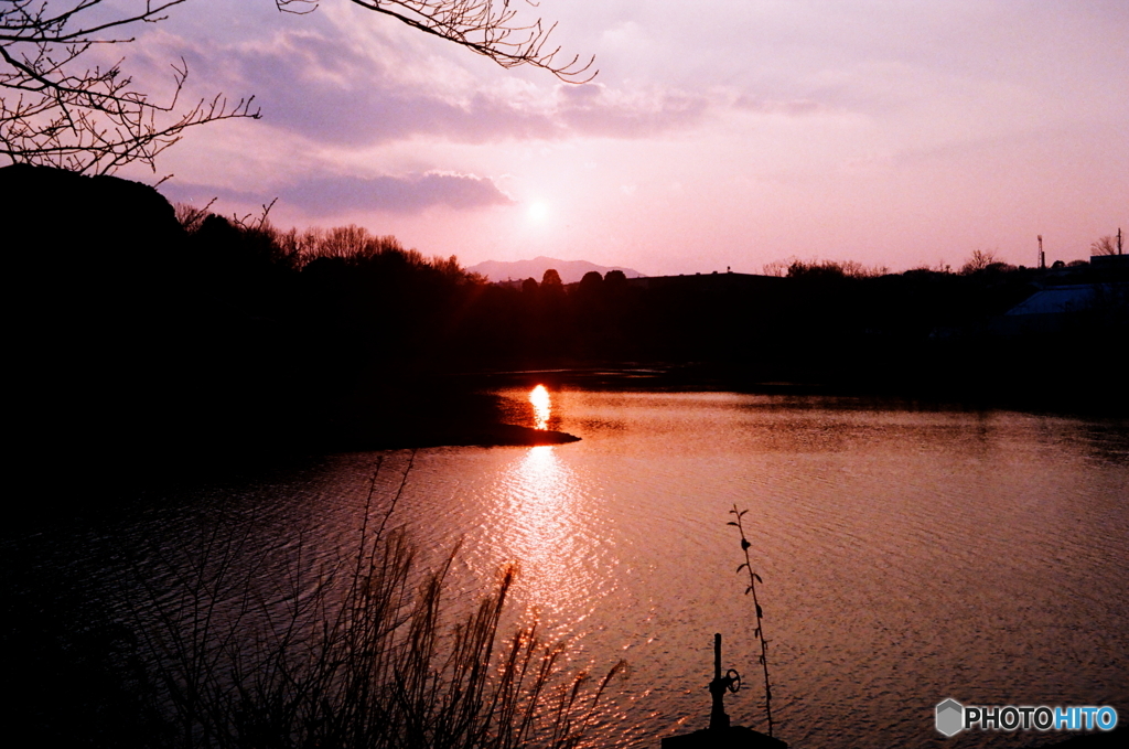 春遠からじ(=^・^=)film