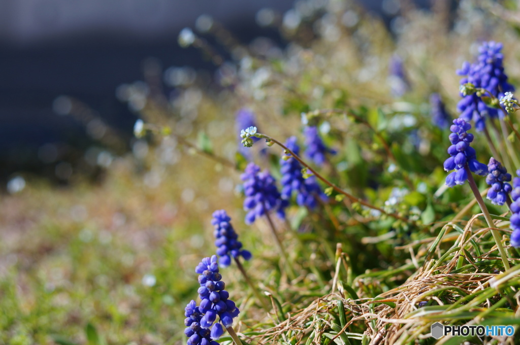 今年も会えました(^o^;