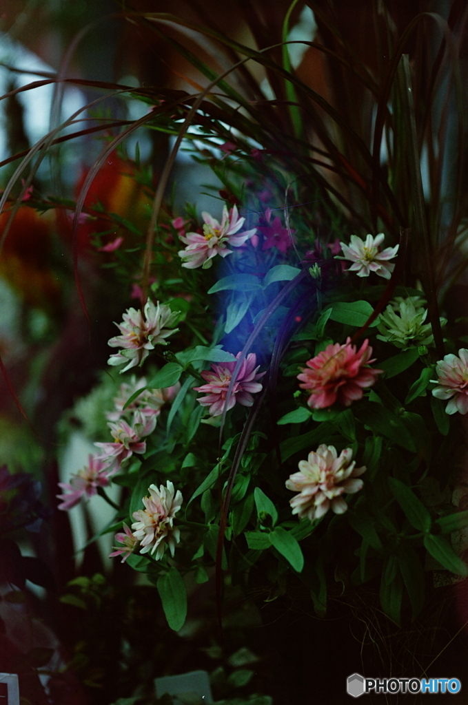 新たな物語始まる予感(=^・^=)film