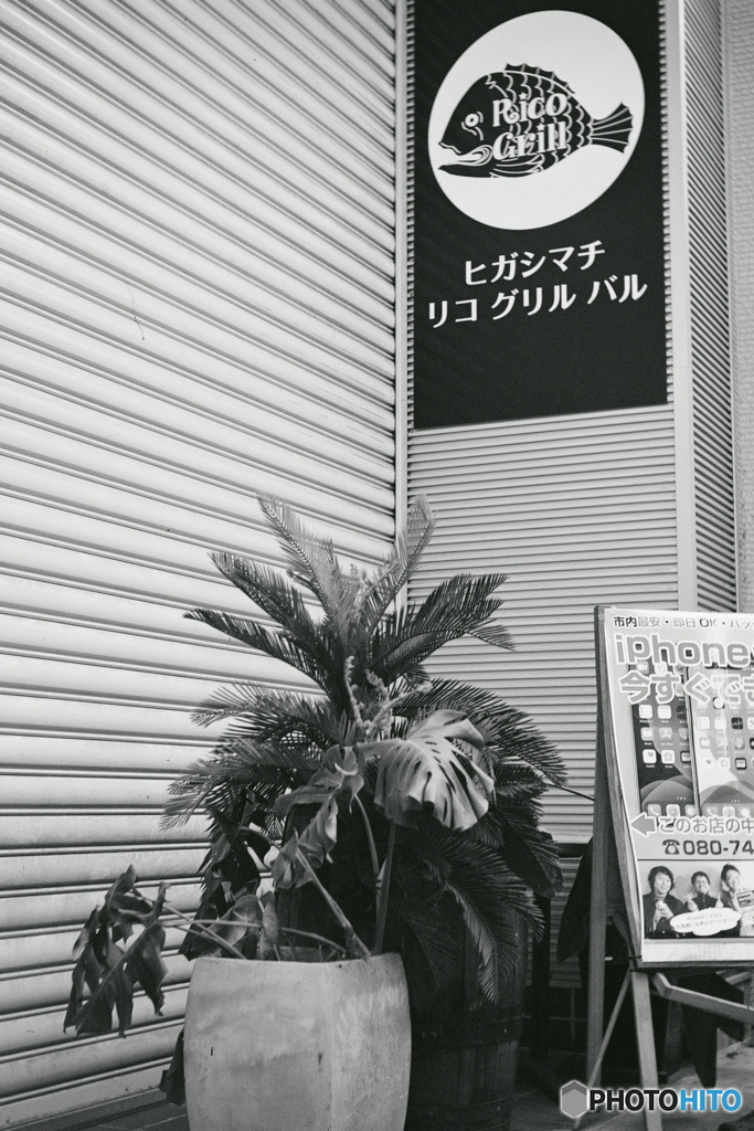 ぶらり街歩き　ギョ(・・;)film