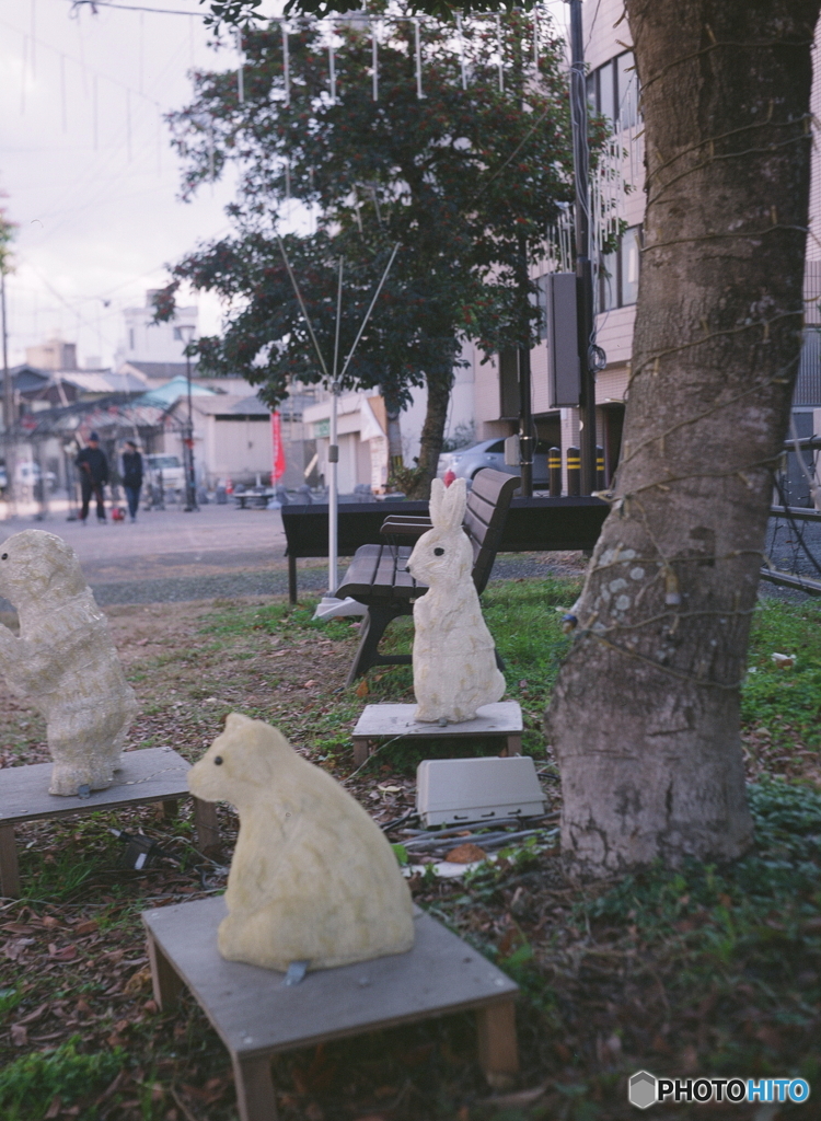 期限切れフイルム/②色被り補正(=^・^=)l