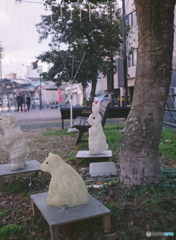期限切れフイルム/②色被り補正(=^・^=)l