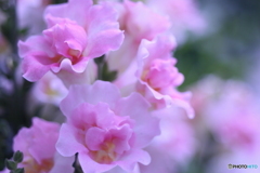 私鉄沿線♫思い出たずねもしかして(^o^)