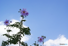 まさにエンペラー(^o^)