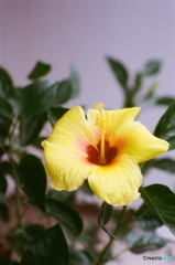 プロジェクトX（R-500改）～挑戦者たち(⊙_⊙;)film