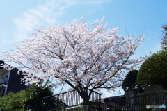 早いもので思い出となりました(^o^;Film