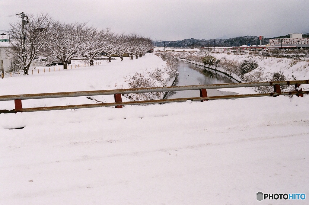 はい(^o^)去年です(_ _;)Film