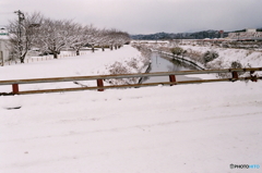 はい(^o^)去年です(_ _;)Film