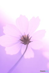 色違いバージョンです(_ _;)