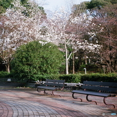 雨上がりの公園(^o^)Film