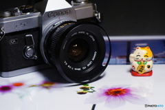 フィルムカメラで試写中(=^・^=)