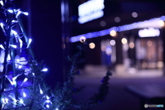 きっと君は来ない<( _ _ )>