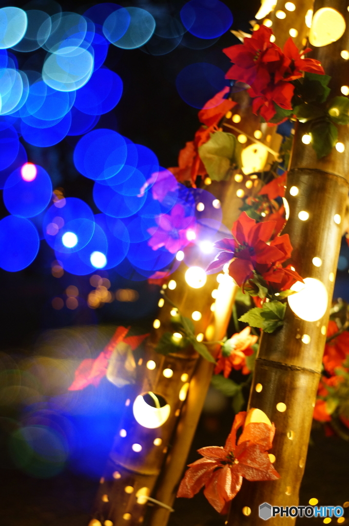 やさしさに包まれたならpart5(=^・^=)