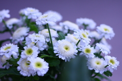 見よ!FDレンズの魔力(^o^)