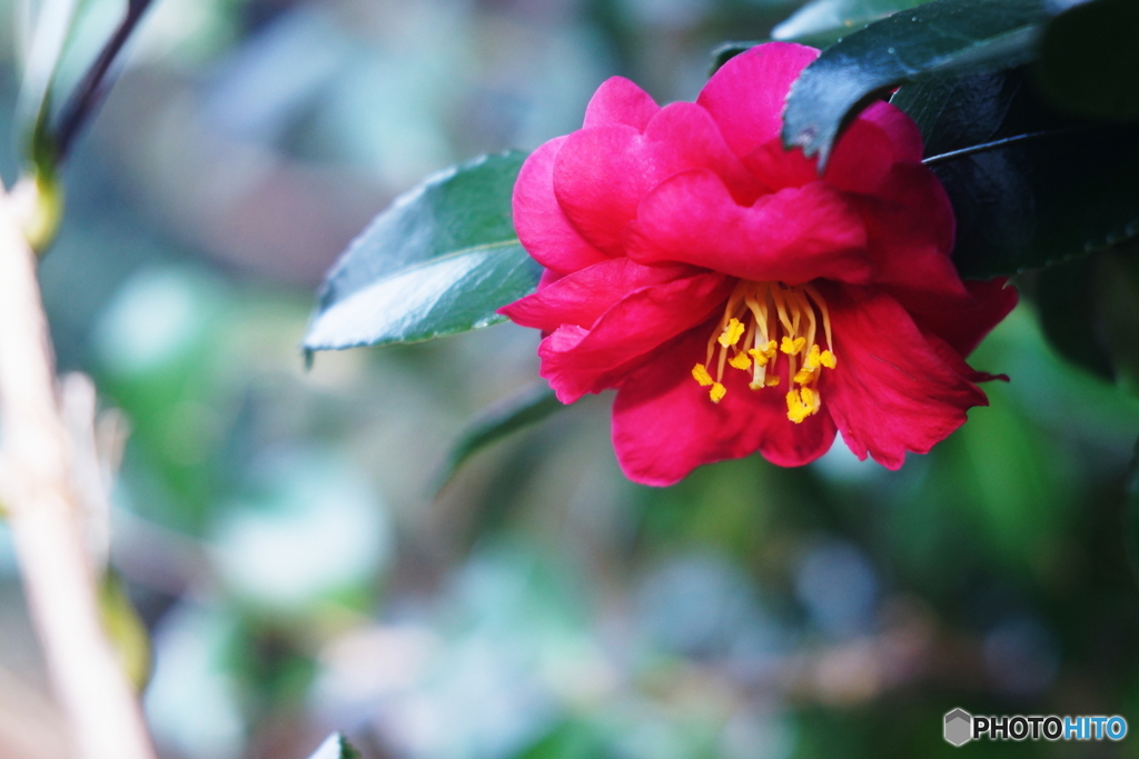 メリハリつけてみました(=^・^=)