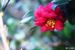 メリハリつけてみました(=^・^=)