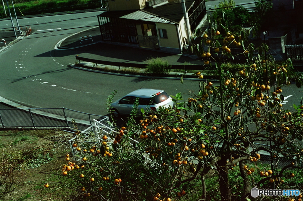 オリジナル/柿の木坂(=^・^=)film