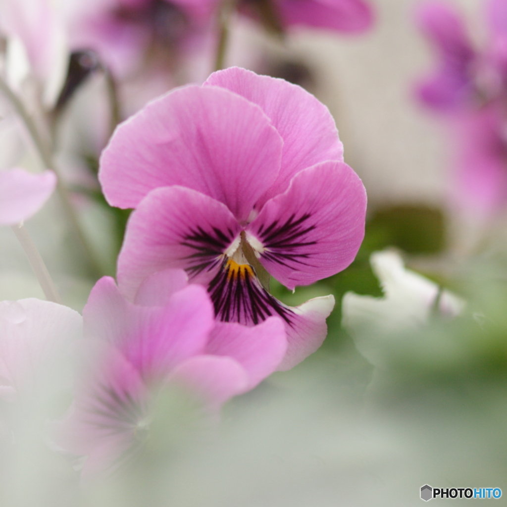 そっと優しく(^o^;