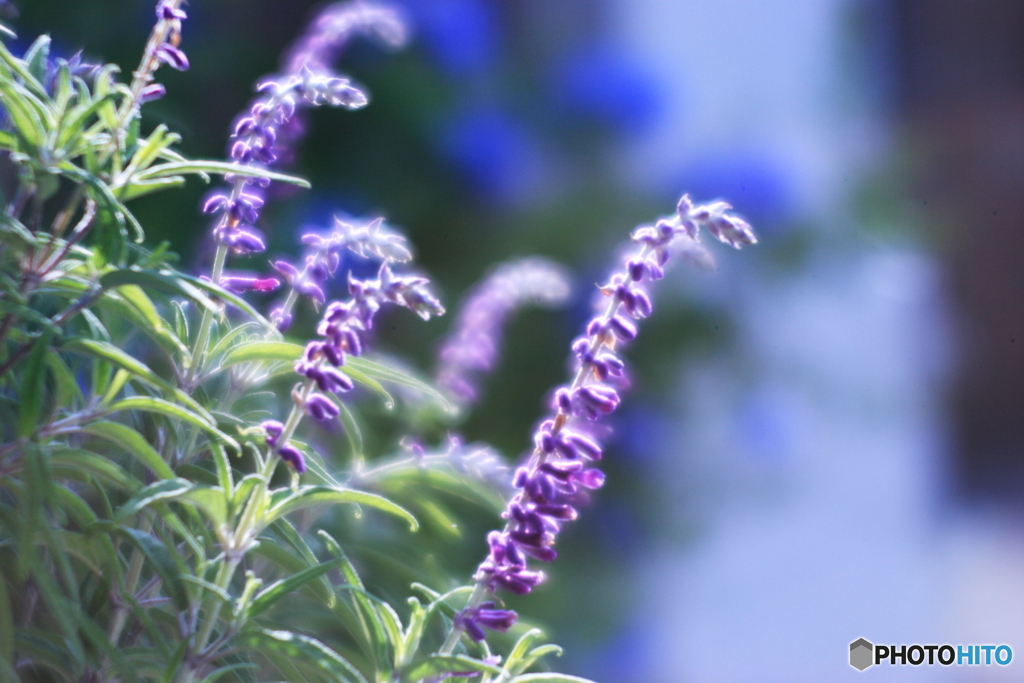 少し滲（にじ）んでいますが(^o^;