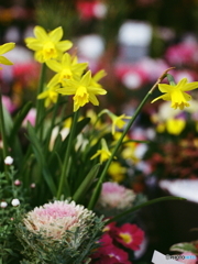 あの日あの時(=^・^=)film