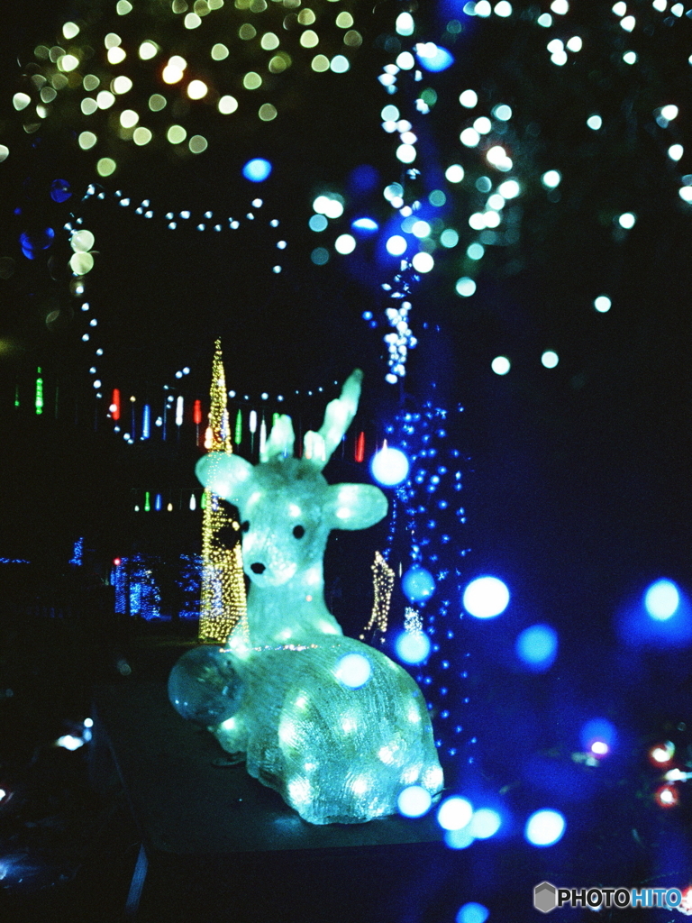 まだ消え残る君への想い(=^・^=)film