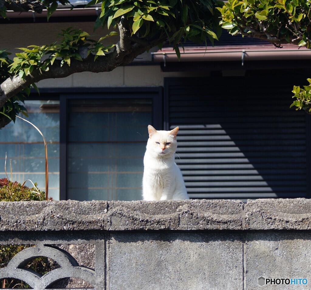 何か御用？(^o^;
