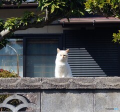 何か御用？(^o^;