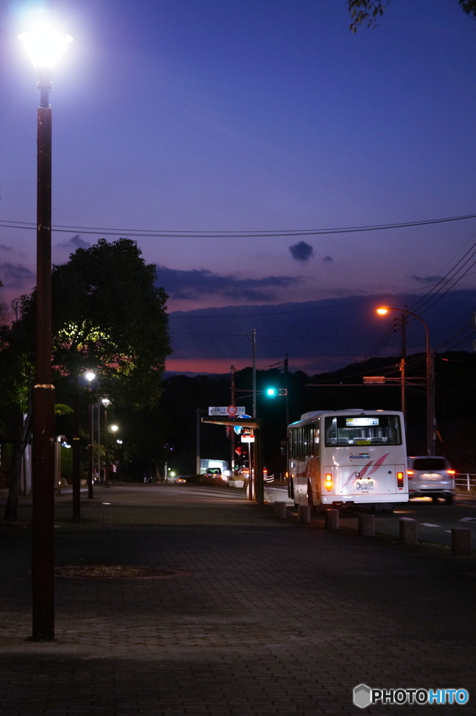 バスストップ(=^・^=)