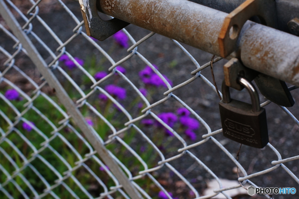 囚われの身(_ _;)